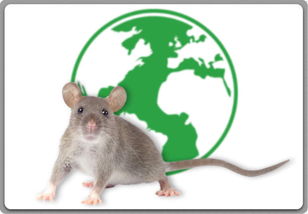 Los Angeles Rodent Control